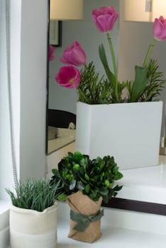 Flowsuites Polanco