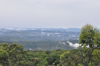 Ayur County