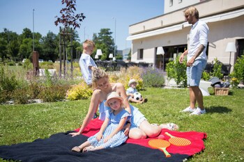 Ibis Plzen