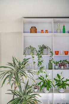 Arkadi Hotel