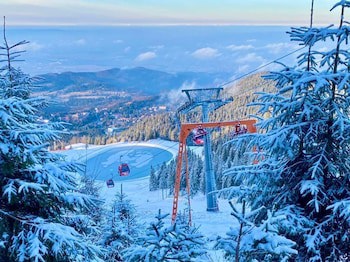 Hotel Piatra Mare