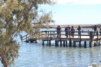 Aguas Salinas