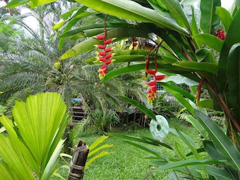Eliconial Paraty Pousada
