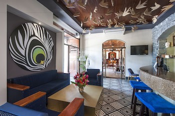 Hotel Plaza Colon