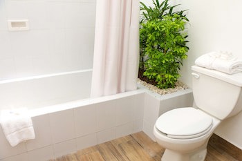 Best Western Riviera Tuxpan