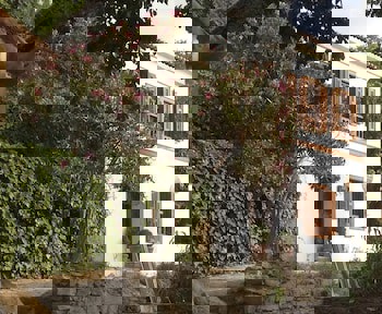 Terrace Houses Sirince - Fig, Olive Clockmakers And Grapevine