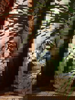 Terrace Houses Sirince - Fig, Olive Clockmakers And Grapevine