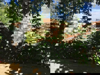 Terrace Houses Sirince - Fig, Olive Clockmakers And Grapevine