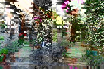 Terrace Houses Sirince - Fig, Olive Clockmakers And Grapevine