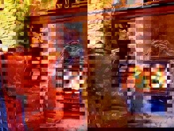 Terrace Houses Sirince - Fig, Olive Clockmakers And Grapevine