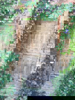 Terrace Houses Sirince - Fig, Olive Clockmakers And Grapevine