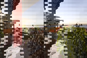 Almina Hotel - Special Class