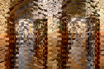 Ramada Plaza By Wyndham Antalya