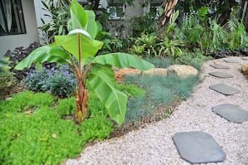 Cresta Oasis
