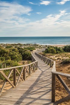 Iberostar Waves Royal Andalus