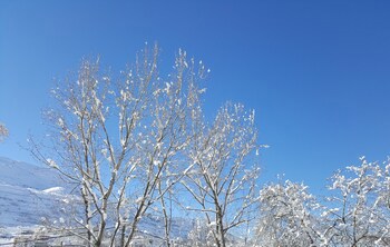 Faraya Village Club