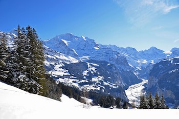Hotel Victoria Lauberhorn
