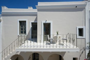 Argonauta galeri fotoğrafı