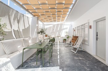 Argonauta galeri fotoğrafı