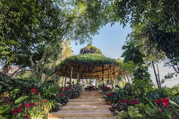 Phu Chaisai Chiang Rai Mountain Resort