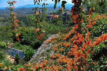 Phu Chaisai Chiang Rai Mountain Resort