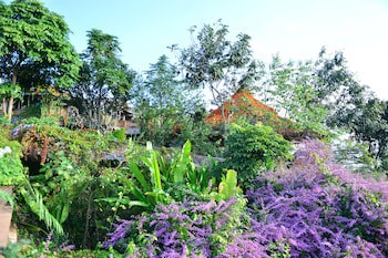 Phu Chaisai Chiang Rai Mountain Resort