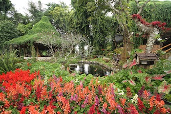 Phu Chaisai Chiang Rai Mountain Resort