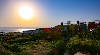 Bedouin Garden Village, Hotel Dive