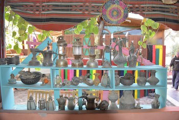 Bedouin Garden Village, Hotel Dive