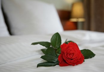 Aparthotel Globus
