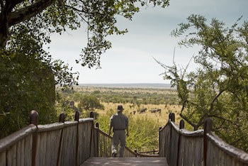 Four Seasons Safari Lodge Serengeti
