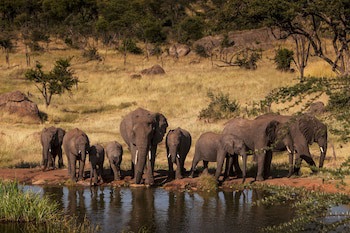 Four Seasons Safari Lodge Serengeti
