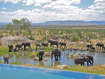 Four Seasons Safari Lodge Serengeti