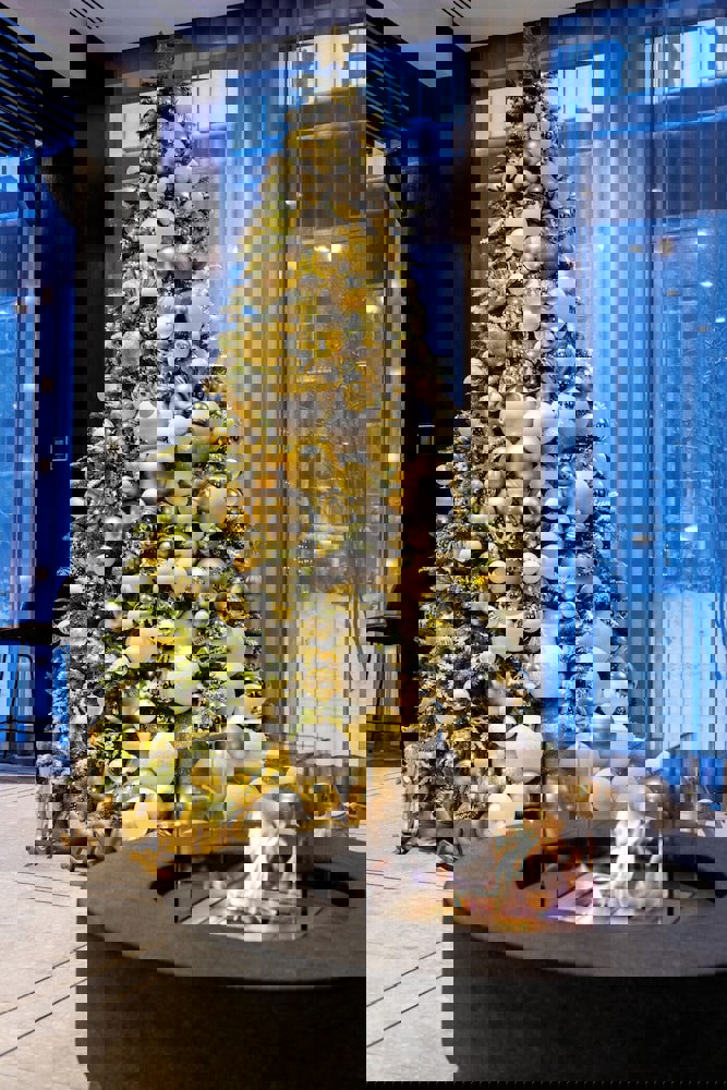 Hilton Garden Inn Vilnius City Centre