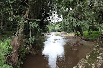 Elephant Valley