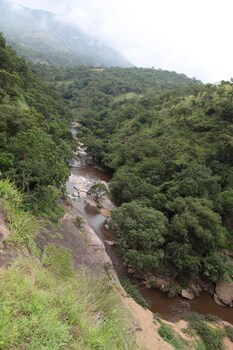 Elephant Valley