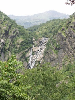 Elephant Valley