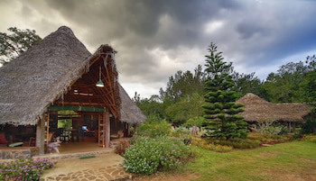 Elephant Valley
