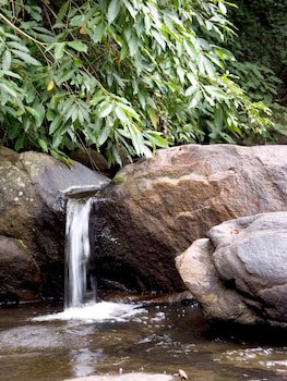Elephant Valley