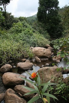 Elephant Valley