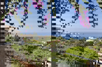 Aphrodite Hills Rentals Apartments