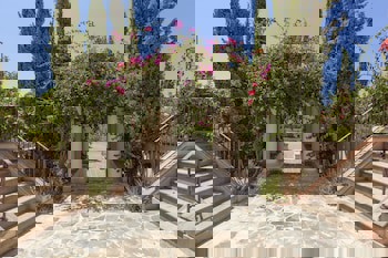 Aphrodite Hills Rentals Apartments