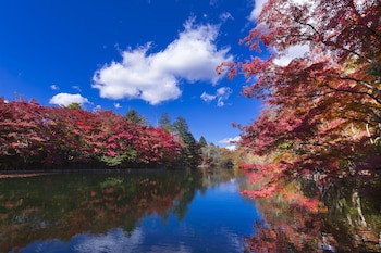 Kyukaruizawa Kikyo, Curio Collection By Hilton