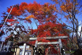 Kyukaruizawa Kikyo, Curio Collection By Hilton