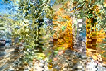 Kirkinca Houses & Boutique Hotel