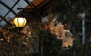 Hotel Willow Banks