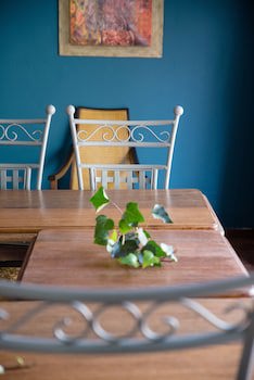 5Th Avenue Gooseberry Guest House