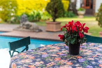 5Th Avenue Gooseberry Guest House