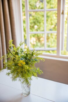 5Th Avenue Gooseberry Guest House