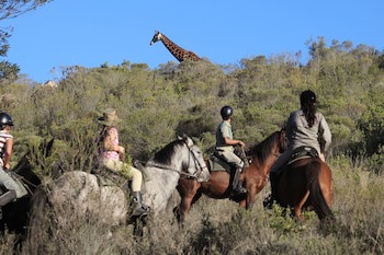Botlierskop Private Game Reserve